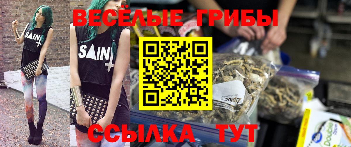 закладки  Вход с VPN  Белорецк  Псилоцибиновые грибы MAGIC MUSHROOMS 